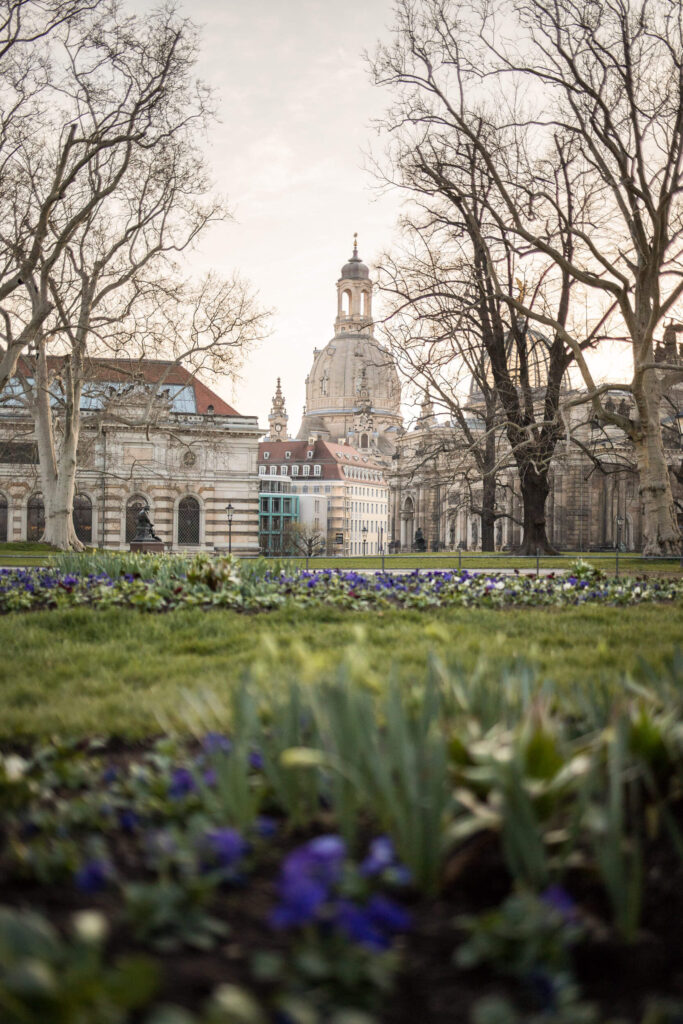 Foto der Dresdner Frauenkirche mit Bäumen und Blumenbeet im Vordergrund